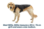 Stumptown™ Insulated Vest