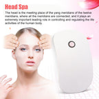 Electric Scalp Massager – Battery-Powered Head Massage Brush for Scalp Care