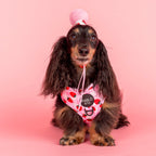 Strawberry Fields: Adjustable Harness