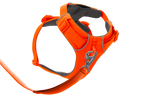 Front Range® Harness