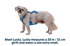 Flagline™ Dog Harness with Handle