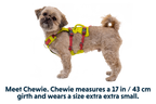 Flagline™ Dog Harness with Handle