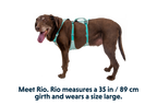 Flagline™ Dog Harness with Handle