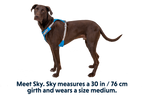 Hi & Light™ Lightweight Dog Harness