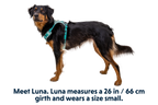 Hi & Light™ Lightweight Dog Harness