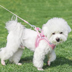 AIITLE Escape Proof Dog Harness