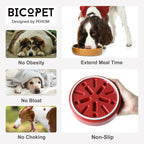 Ceramic Slow Feeder Bowls