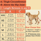 Dog Knee Brace for Leg, Adjustable Dog Braces for Torn ACL Support, Built in Side Stabilizers, Breathable Dogs Hip Brace for Arthritis Relief, Joint Stability and Post Surgery Recovery