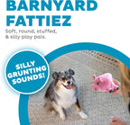 Outward Hound Fattiez Pig Plush Squeaky Dog Toy, Small