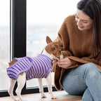 Dog Recovery Suit, Surgical Recovery Suit for Male Female Dogs Cats Spayed Onesie After Surgery, Dog Post Surgery Suit Anti Licking & Biting Surgical Shirt with Pee Hole，Purple Medium