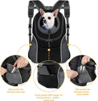 WOYYHO Pet Dog Carrier Backpack Small Dog Front Backpack Ventilated Dog Carrier Back Pack with Storage Pockets, Adjustable Straps & Safety Belt for Travel Hiking Outdoor (Size M: 5-9 lbs, Black)