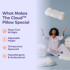 2 CloudAlign Pillows + 2 Free Cooling Pillowcases