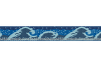 Crag™ Collar