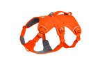 Web Master™ Dog Harness with Handle