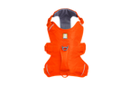 Web Master™ Dog Harness with Handle