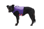 Float Coat™ Dog Life Jacket