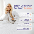 CloudCool™ Cooling Comforter + 2 CloudAlign Pillows