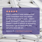 Waterproof & Stain-Resistant Hotel Pillow (2-Pack)