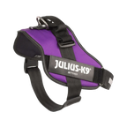 Julius-K9® IDC® Powerharness