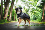 Trekking dog raincoat