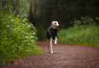 Trekking dog raincoat
