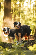 Trekking dog raincoat
