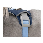 Cloud-Lite™ Dog Harness