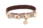 Trendy Floral Pet Collar for Dogs and Cats